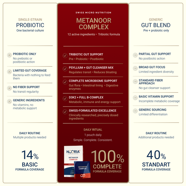 Metanoor Complex