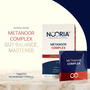 Metanoor Complex