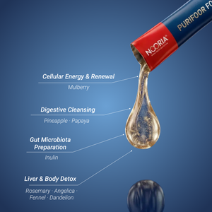 Ramadan Preparation kit